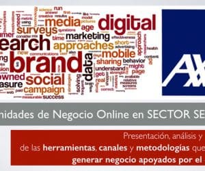 Oportunidades de Negocio Online en SECTOR SEGUROS